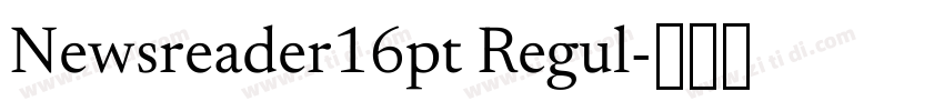 Newsreader16pt Regul字体转换